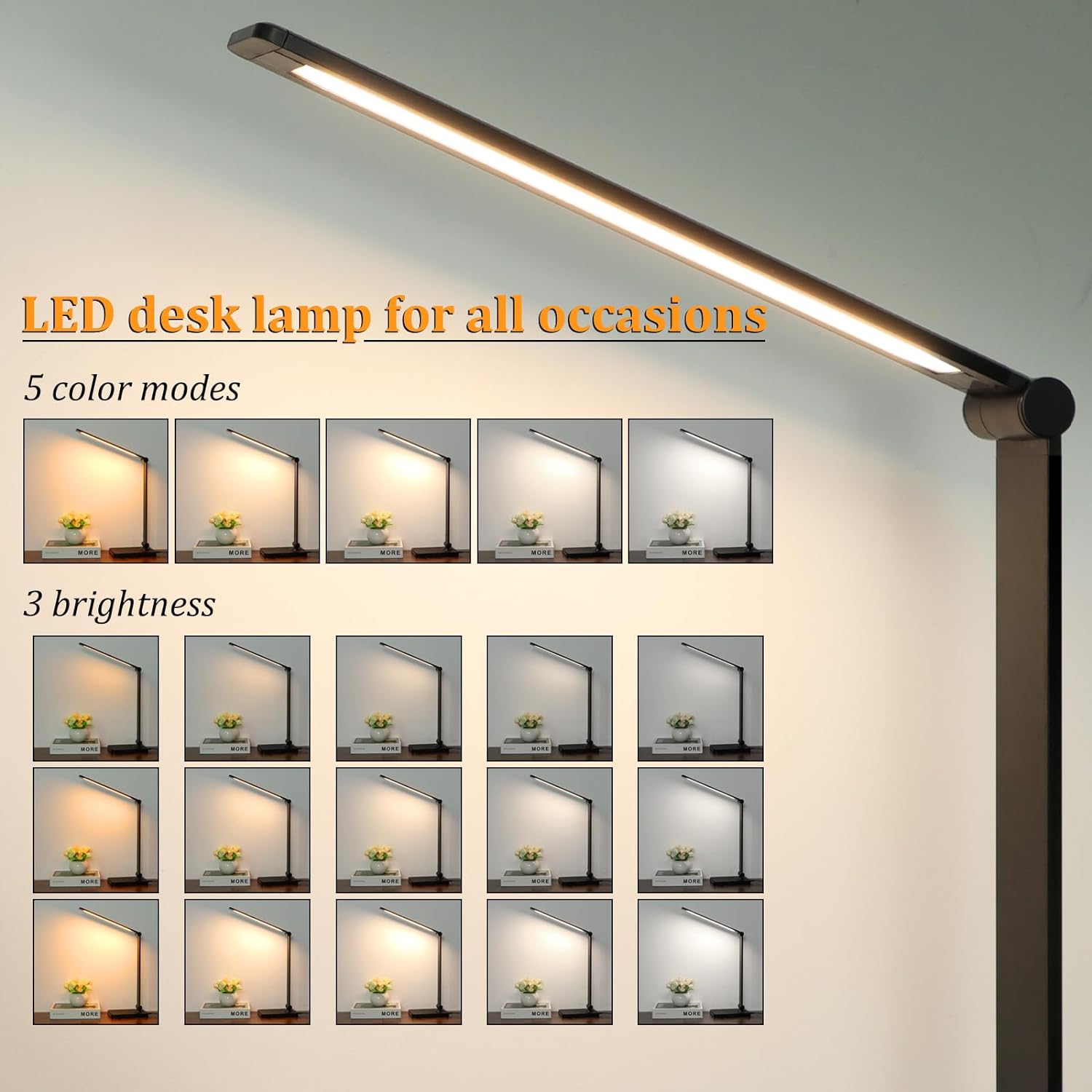 LED Desk Lamp with USB Port
