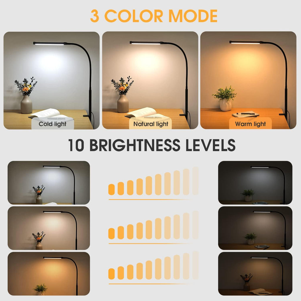 LED Desk Lamp with Clamp