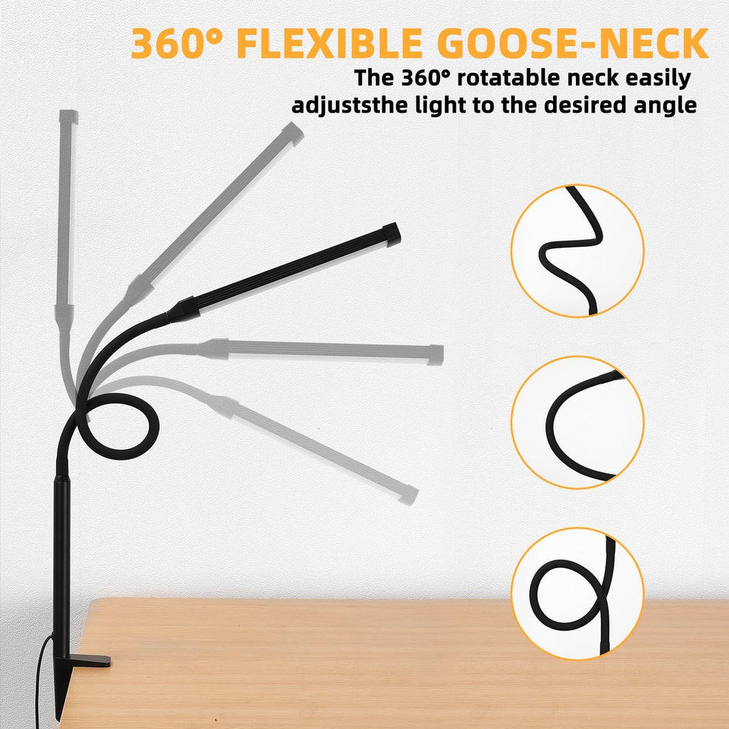 LED Desk Lamp with Clamp