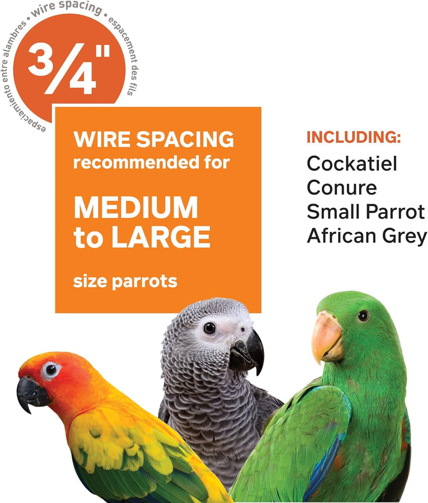 Pet Products Wrought Iron Select Bird Cage 3154C. Chalk White. 36-Inch by 24-Inch by 66-Inch